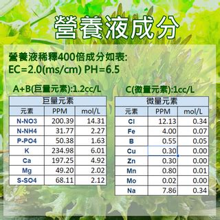 水培營養液|水耕栽培植物的方法，營養液怎麼調？如何施肥？